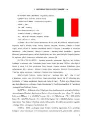 Turistinis maršrutas: Italija 5 puslapis