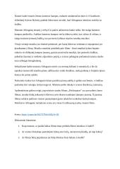 Filmo "Psichopatas" scenos analizė 2 puslapis