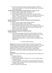 Turistinis projektas: "Šventosios upės vandens turizmo infrastruktūros  sutvarkymas Anykščių rajone" 2 puslapis