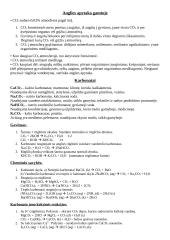 Anglies konspektas 2 puslapis