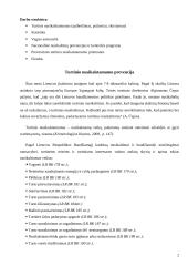 Turtinio nusikalstamumo prevencija 2 puslapis