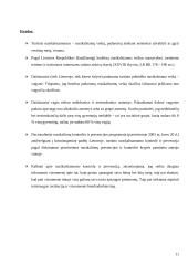 Turtinio nusikalstamumo prevencija 11 puslapis