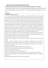 Turtinio nusikalstamumo prevencija 8 puslapis