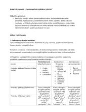 Praktinė užduotis „Konkurencinės aplinkos tyrimas“