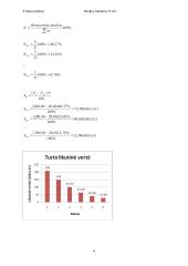 Turto nusidėvėjimas 4 puslapis