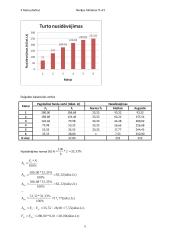 Turto nusidėvėjimas 5 puslapis