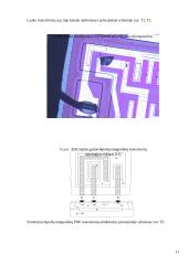 Puslaidininkinių mikroschemų (telktinių grandynų) tyrimas 10 puslapis