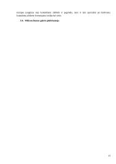 Puslaidininkinių mikroschemų (telktinių grandynų) tyrimas 14 puslapis