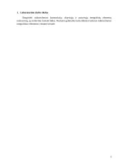 Puslaidininkinių mikroschemų (telktinių grandynų) tyrimas 2 puslapis