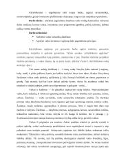 Ugdymas daile 2 puslapis