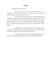 Ugdymas daile 4 puslapis