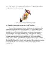 Matavimo prietaisai įtampų, srovių ir galių matavimui (laboratorinis) 5 puslapis