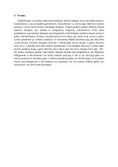 Matavimo prietaisai įtampų, srovių ir galių matavimui (laboratorinis) 8 puslapis