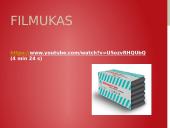 Polistireninis putplastis 7 puslapis