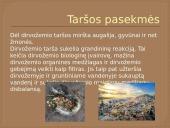 Dirvožemio tarša (skaidrės) 7 puslapis