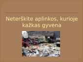 Dirvožemio tarša (skaidrės) 8 puslapis