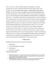 Transformacinė lyderystė  4 puslapis