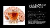Alkoholio poveikis paauglių organizmui 8 puslapis