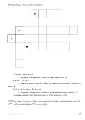 Užduočių rinkinys girdimajam suvokimui tobulinti 14 puslapis