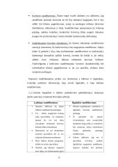 „OG transa“ sandėliavimo proceso organizavimo gerinimas 10 puslapis