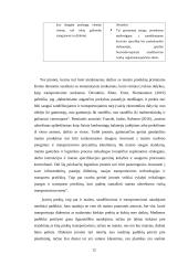 „OG transa“ sandėliavimo proceso organizavimo gerinimas 11 puslapis