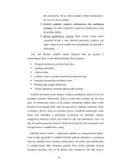 „OG transa“ sandėliavimo proceso organizavimo gerinimas 17 puslapis