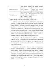 „OG transa“ sandėliavimo proceso organizavimo gerinimas 19 puslapis