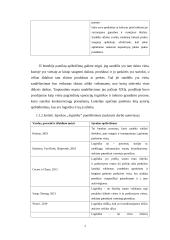 „OG transa“ sandėliavimo proceso organizavimo gerinimas 6 puslapis