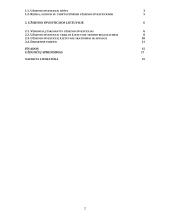 Užsienio investicijos bei jų reikšmė Lietuvos ūkiui 2 puslapis