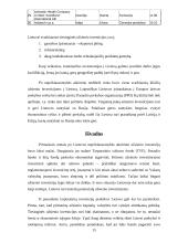 Užsienio investicijos bei jų reikšmė Lietuvos ūkiui 15 puslapis