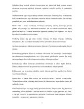 Užsienio investicijos bei jų reikšmė Lietuvos ūkiui 7 puslapis