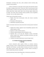 Užsienio investicijos bei jų reikšmė Lietuvos ūkiui 10 puslapis