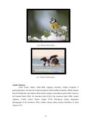 Menų mokyklinis brandos egzaminas, fotografijos kryptis. Gamta aplink mus 11 puslapis