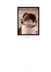 Menų mokyklinis brandos egzaminas, fotografijos kryptis. Gamta aplink mus 16 puslapis