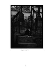 Menų mokyklinis brandos egzaminas, fotografijos kryptis. Gamta aplink mus 17 puslapis