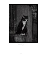 Menų mokyklinis brandos egzaminas, fotografijos kryptis. Gamta aplink mus 19 puslapis