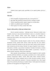 Menų mokyklinis brandos egzaminas, fotografijos kryptis. Gamta aplink mus 2 puslapis