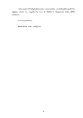 Menų mokyklinis brandos egzaminas, fotografijos kryptis. Gamta aplink mus 3 puslapis