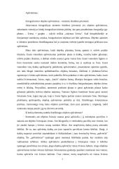 Menų mokyklinis brandos egzaminas, fotografijos kryptis. Gamta aplink mus 6 puslapis