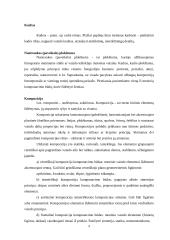 Menų mokyklinis brandos egzaminas, fotografijos kryptis. Gamta aplink mus 8 puslapis