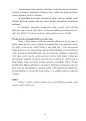 Menų mokyklinis brandos egzaminas, fotografijos kryptis. Gamta aplink mus 9 puslapis