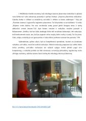 Vaikų laisvalaikio samprata 6 puslapis