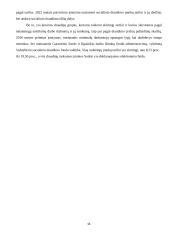 Valstybinis socialinis draudimas, jo rūšys ir mokėjimo ypatumai  15 puslapis