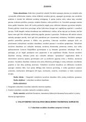 Valstybinis socialinis draudimas, jo rūšys ir mokėjimo ypatumai  2 puslapis