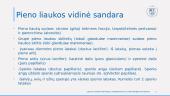 Išorinė ir vidinė tešmens sandara ir ypatumai 5 puslapis