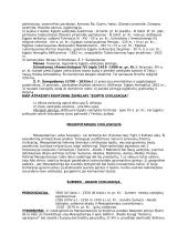 Rytų civilizacijų konspektas 3 puslapis