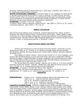 Rytų civilizacijų konspektas 8 puslapis