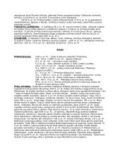 Rytų civilizacijų konspektas 9 puslapis