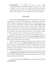 Argumentavimas kalbant derybose 4 puslapis