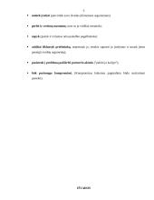 Argumentavimas kalbant derybose 5 puslapis